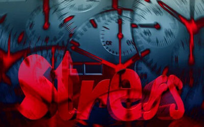 Stress – was sagen deine Hormone dazu?